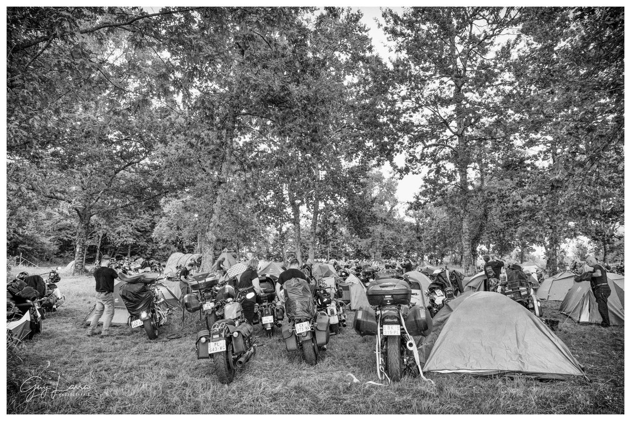 Le camp installé sous les arbres
